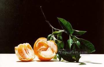 Artworks in 150 Subjects Painting - sl093B realism still life